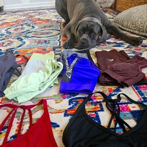 All the Gymshark left in my closet BUNDLE bras, shorts, leggings, jumpsuit small